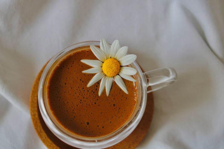 close up of espresso coffee with flower on top