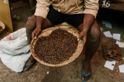 man holding woven dish full of fresh coffee beans